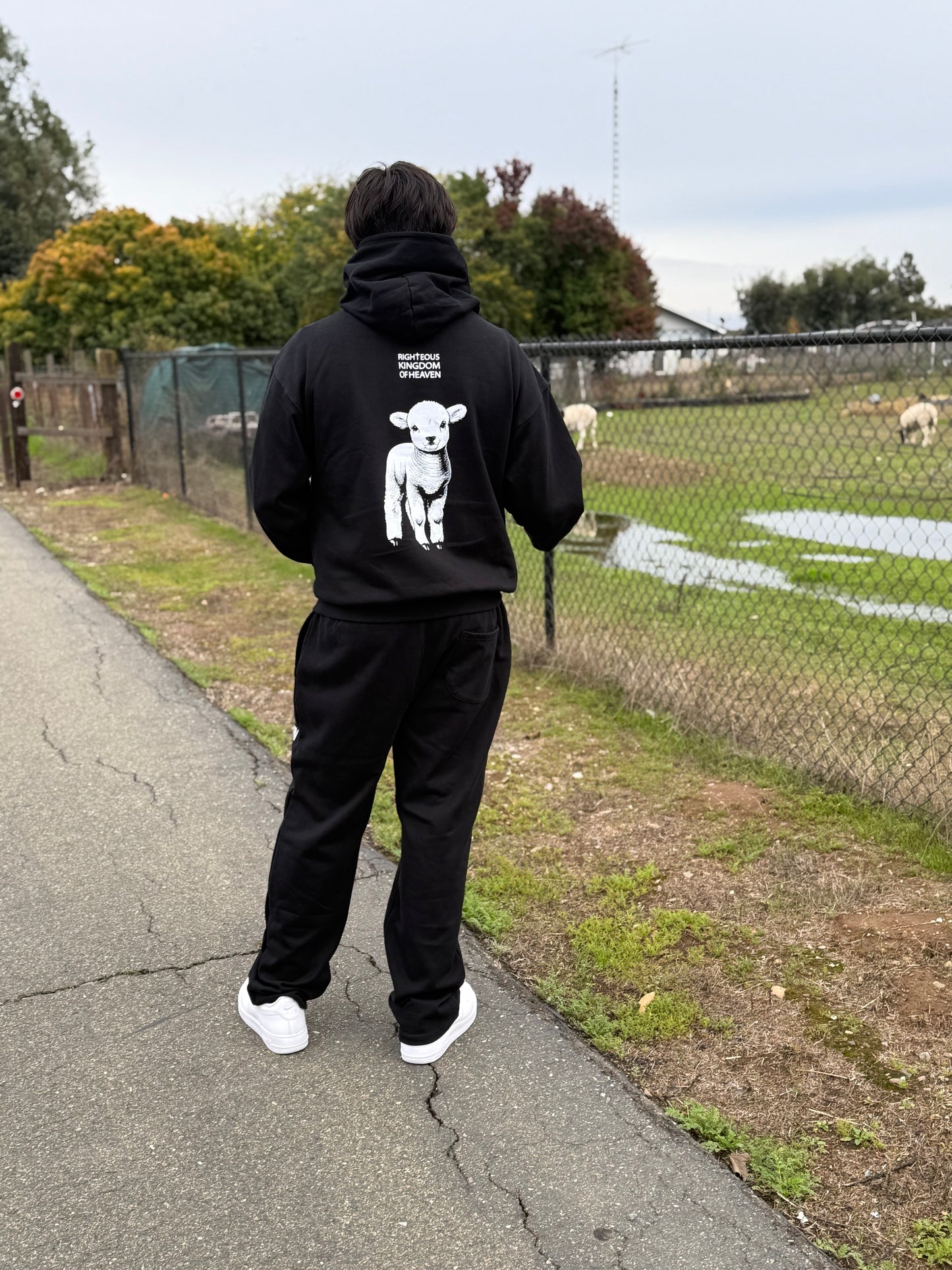 RKH John 3:16 Black Lamb Set